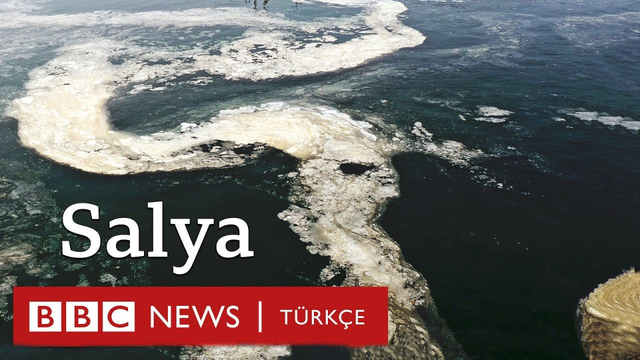 Marmara Denizi'nde salya: 