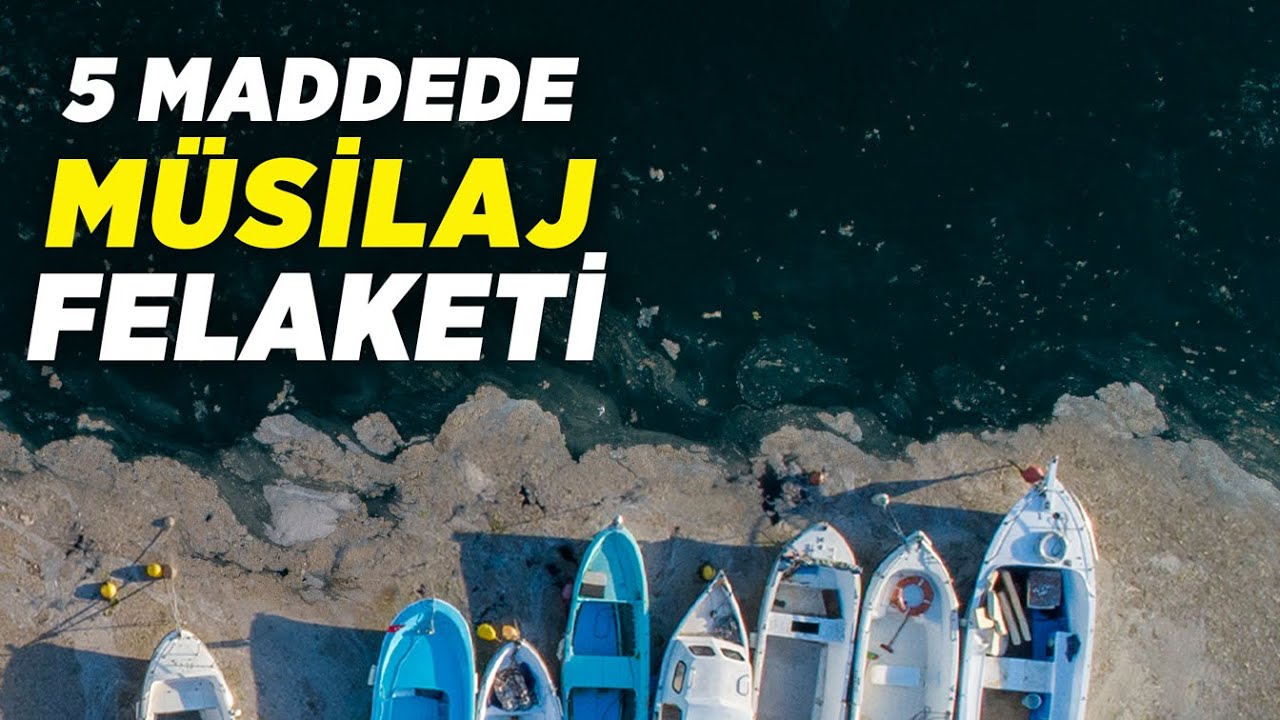 Marmara Denizini Saran Müsilaj Felaketi Nedir?