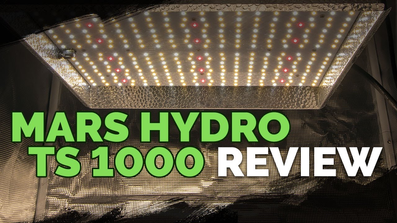 Mars Hydro TS 1000: A Surprisingly Good Grow Light For The $