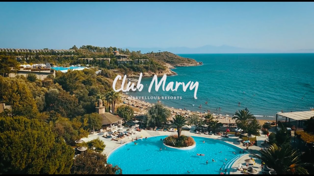Marvy People | Creative Director Moshe Aelyon