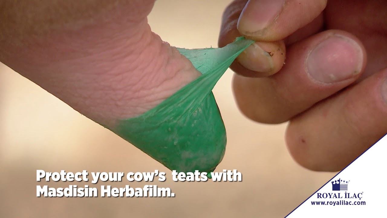 MASDISIN HERBAFILM: A post-milking teat dip to keep you cows' 4 teats!