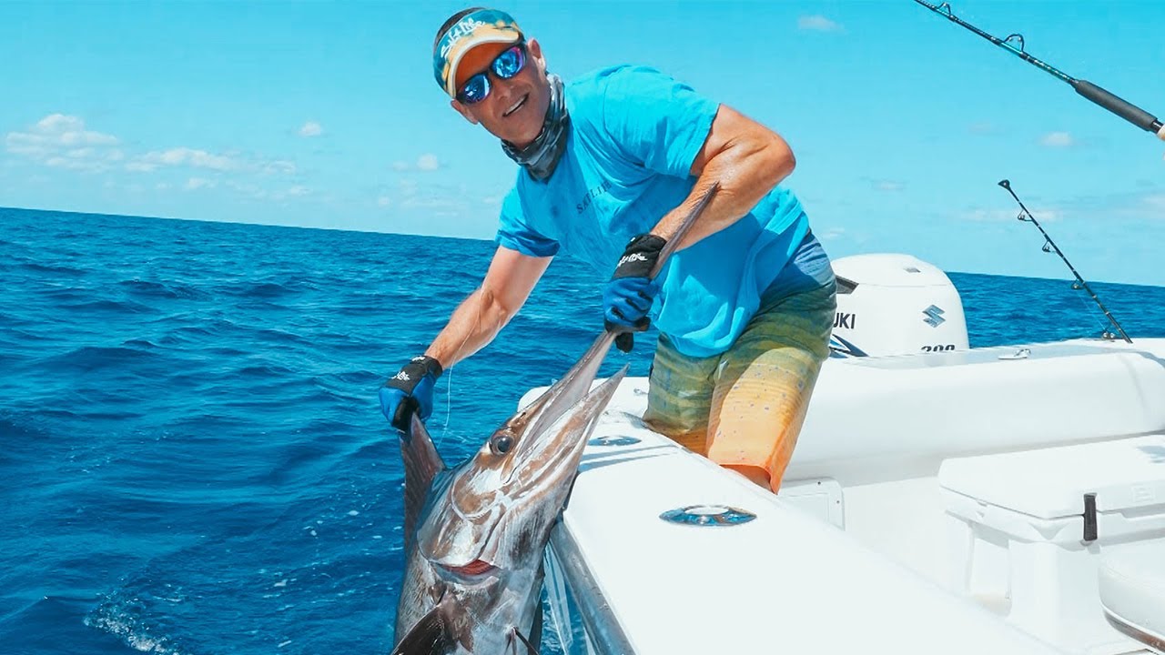 MASSIVE MARLIN CATCH in the CAYMANS