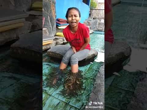 Mau ketawa takut dosa!!! Kaki di gigit ikan