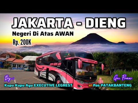 MAU LIHAT EMBUS ES‼️TRIP : JAKARTA - DIENG • NEGERI DI ATAS AWAN • NAIK BUS KUPU-KUPU AYU