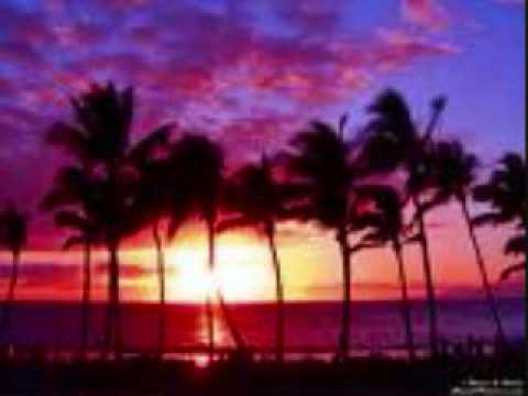 Maui Boy- Cherry  Roots