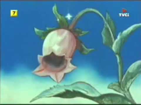 Maya the Bee - Catalan Opening (Televised Video)