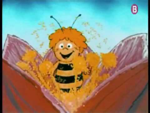 Maya The Bee- Balearic Catalan Opening (Constructed Video)