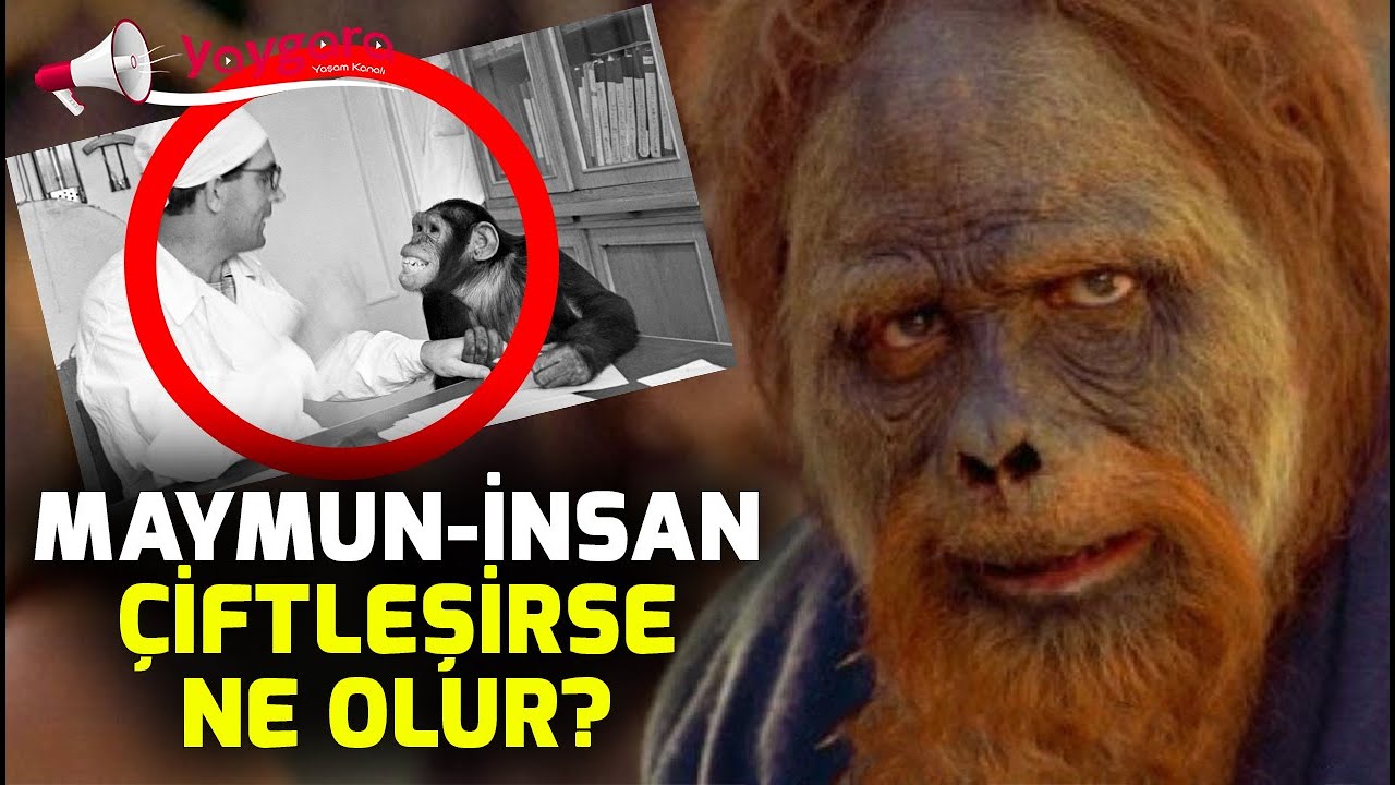Maymun ve İnsan'ı Çiftleştirdiler! Sonucu Ne Oldu?