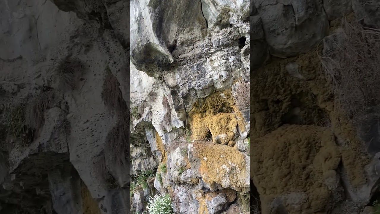 Mayori dzor(Cabot chkaroxaca chanaparn nkarel qani vor bacitox vichakum er gtnvum ays hrashq vayrn)