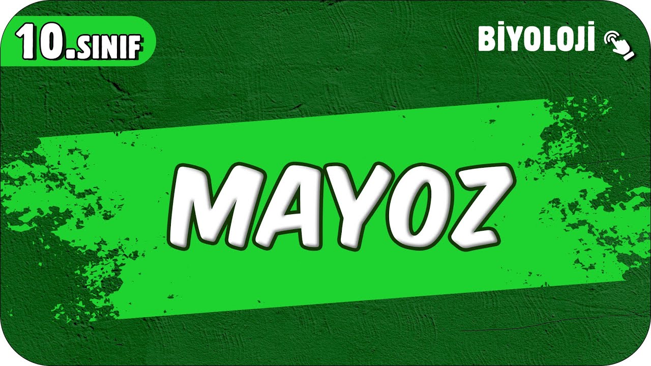 Mayoz | 10.Sınıf Biyoloji #2025