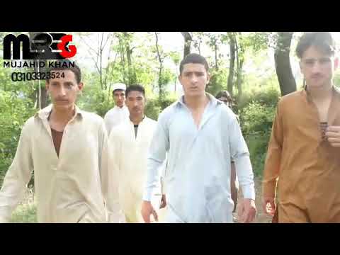 MBBG  Vines  Buner