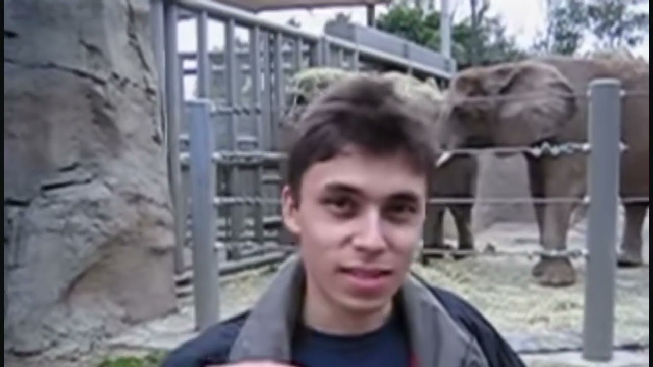 Me at the zoo ( reverse )