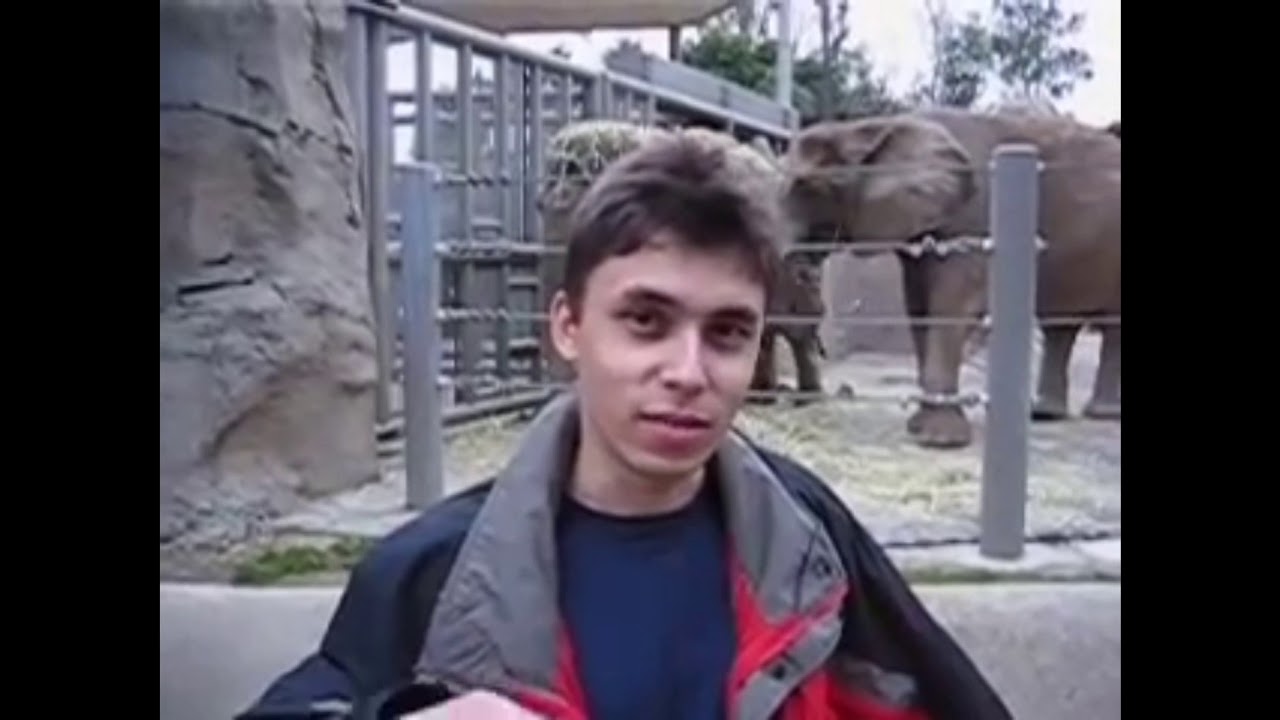 Me At The Zoo Reversed