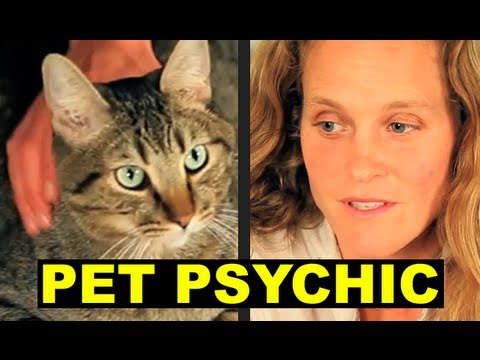 MEAN KITTY and the PET PSYCHIC