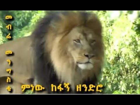 Mebrie Mengistie - Minew Kefagn Zendro | መብሬ መንግስቴ - ነይ ነይ ሎምዬ | Ethiopian Traditional Music