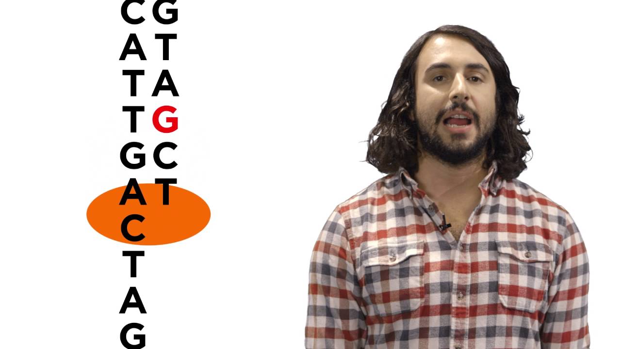 Mechanisms of DNA Damage and Repair