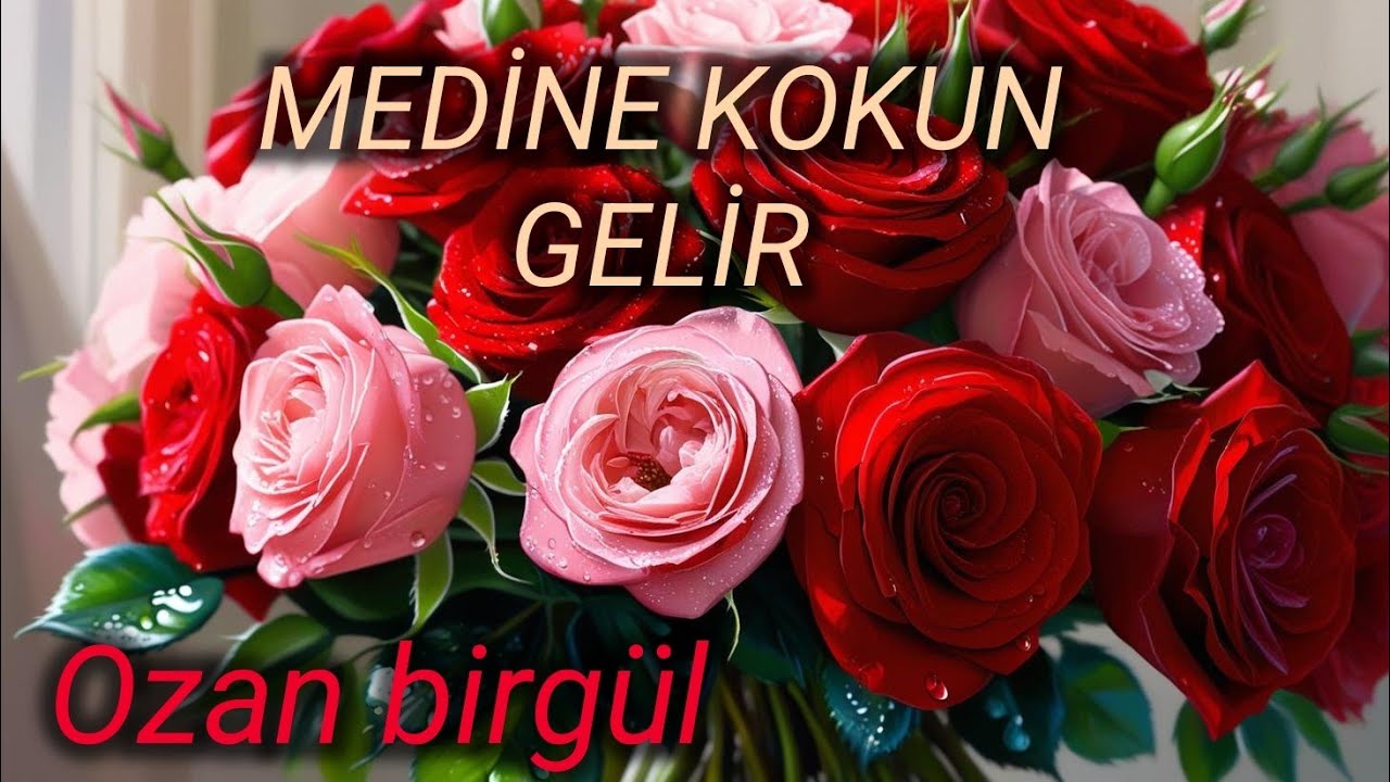 MEDİNE KOKUN GELİR OZAN BİRGÜL & 2025 İLAHİLERİ