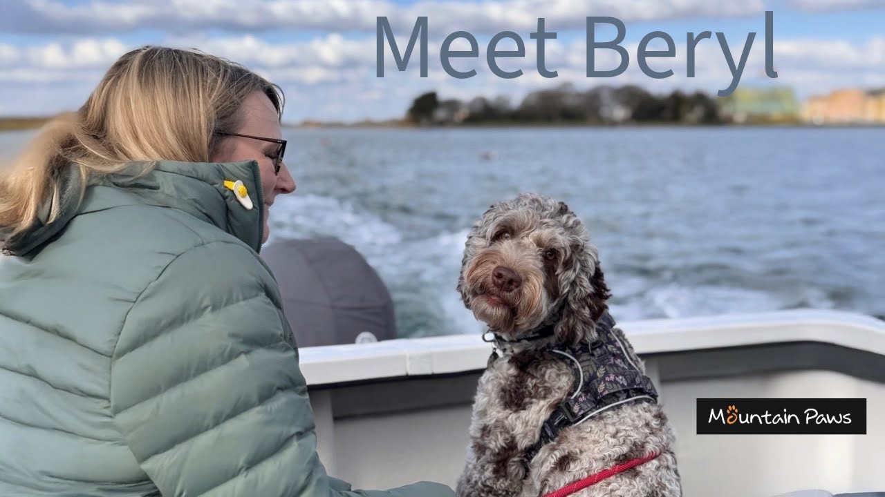 Meet Beryl & lets talk Mountain Paws & Thule equipment.