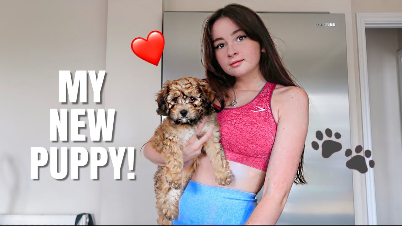 Meet My New Puppy!!