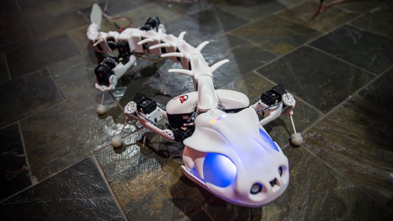 Meet Pleurobot, an Amphibious Robot!