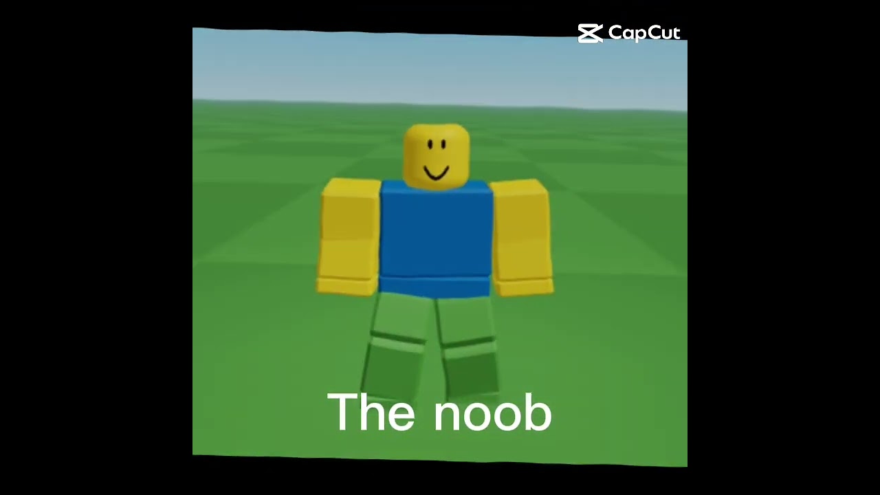 Meet the roblox squad #roblox