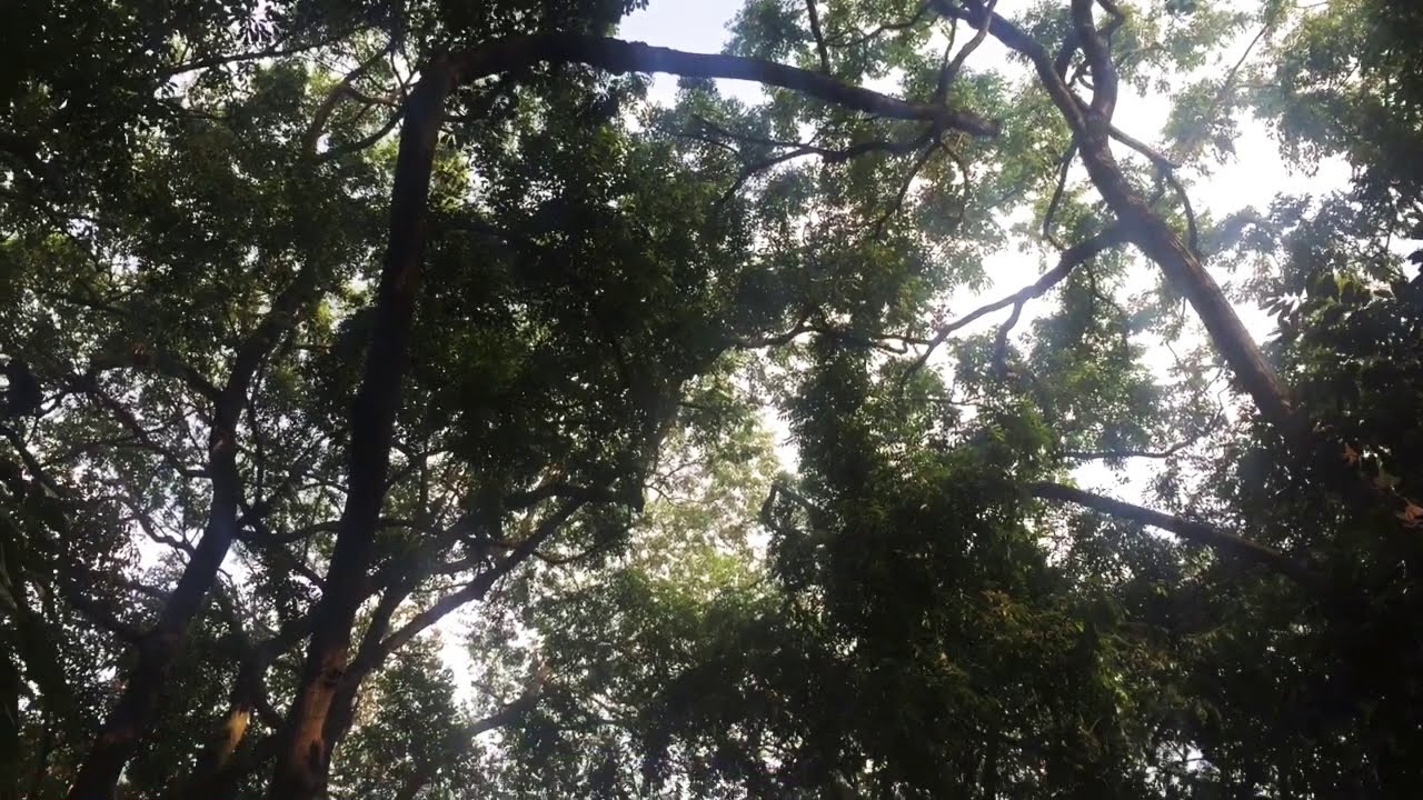 Meet up JudikaHolic Jakarta To Ragunan:)