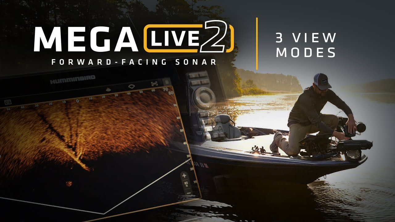 MEGA Live 2 Forward-Facing Sonar: 3 View Modes | Humminbird
