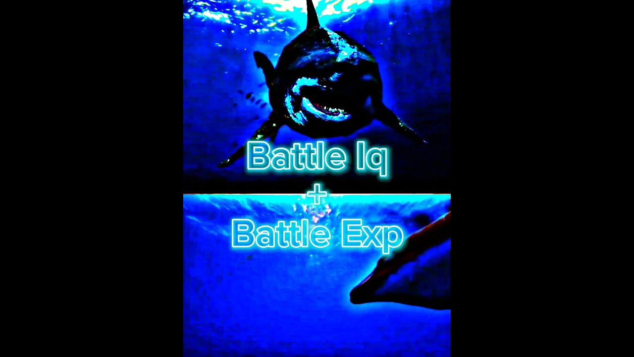 Megalodon vs Basilosaurus