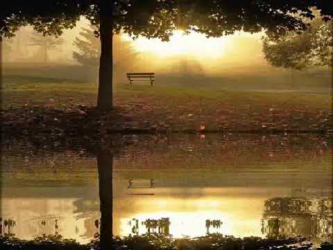 Mehmet YILMAZ - efendime ben gideyim