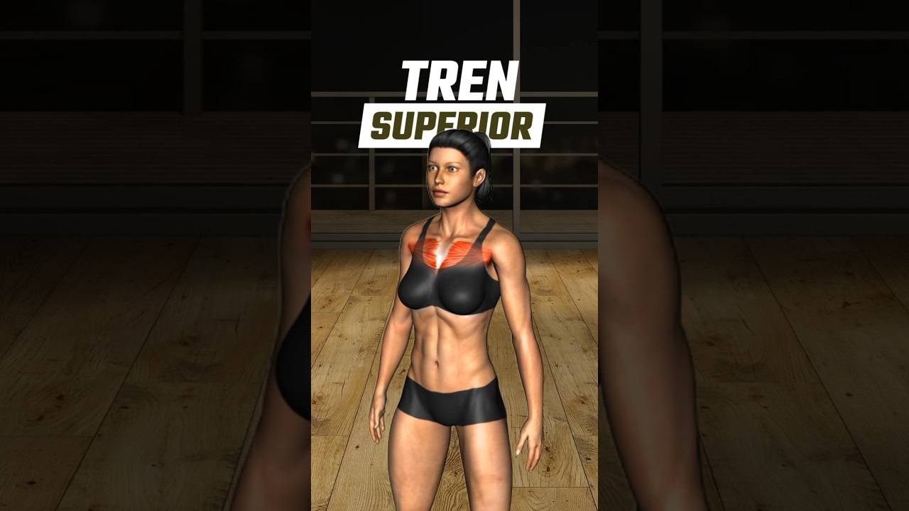 Mejor rutina de Pecho firme, Hombros redondos y Tríceps tonificados para mujeres en el gimnasio. 💃