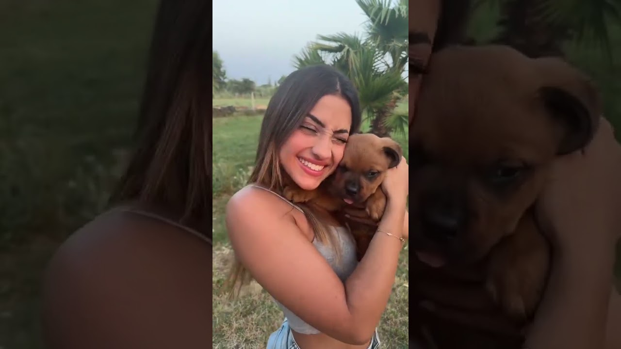 MELANY MUSILLO E IL SUO NUOVO CUCCIOLO 😍 #tiktok #shorts #perte #melanymusillo