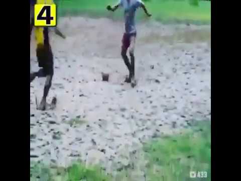 Melhor vídeo do whatsapp do ano