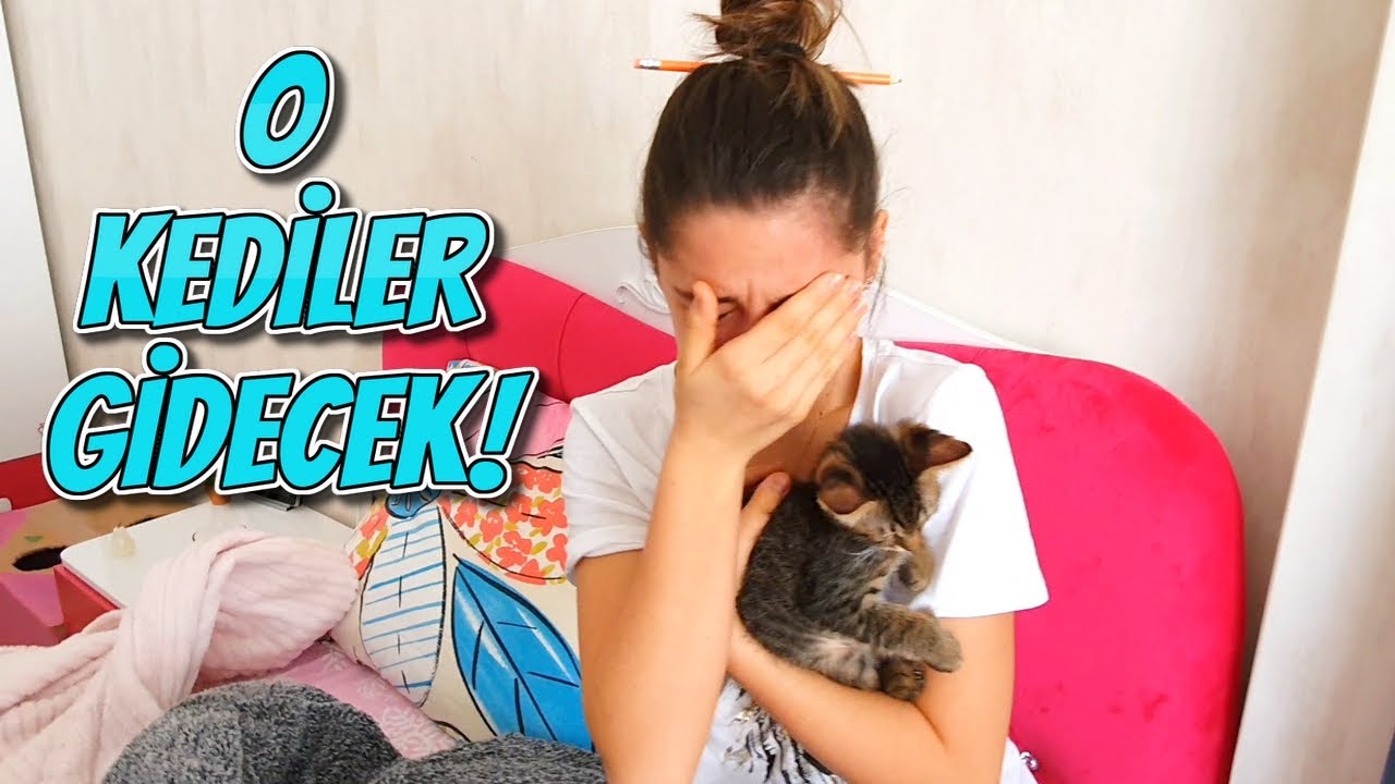 Melike O Kediler Gidecek! KIŞKIRTMA