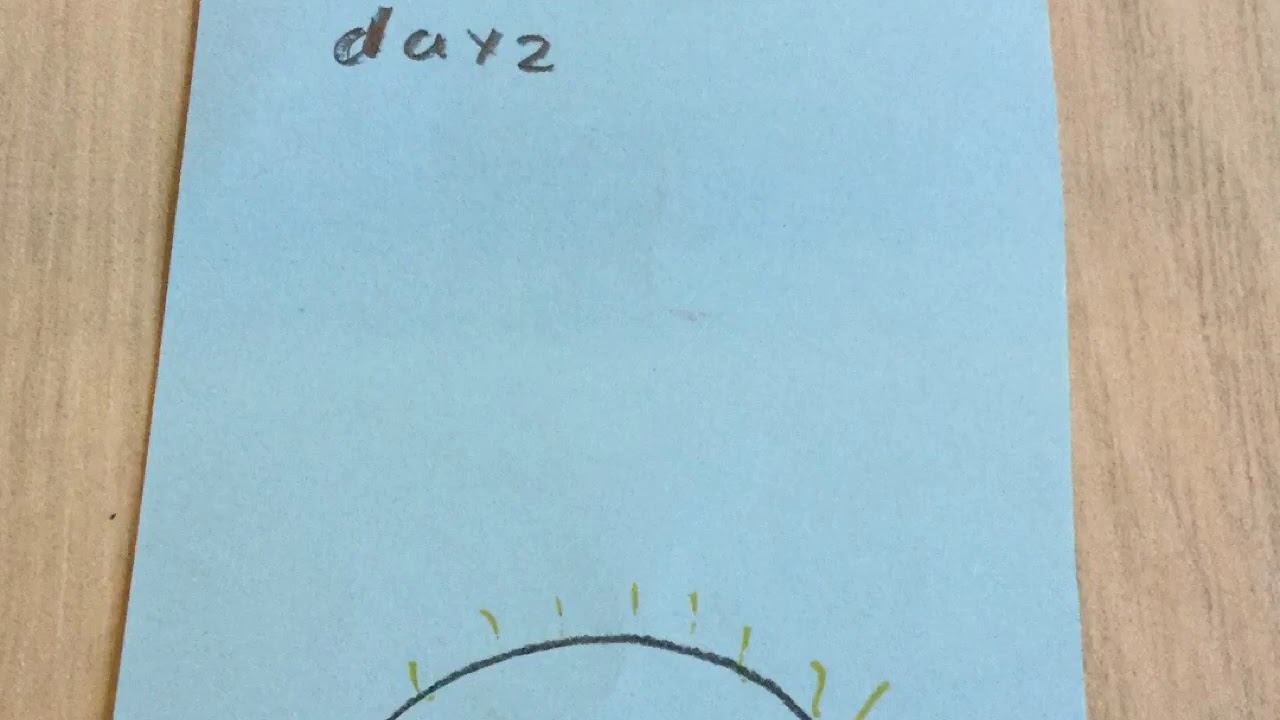 Melisa - dag zon