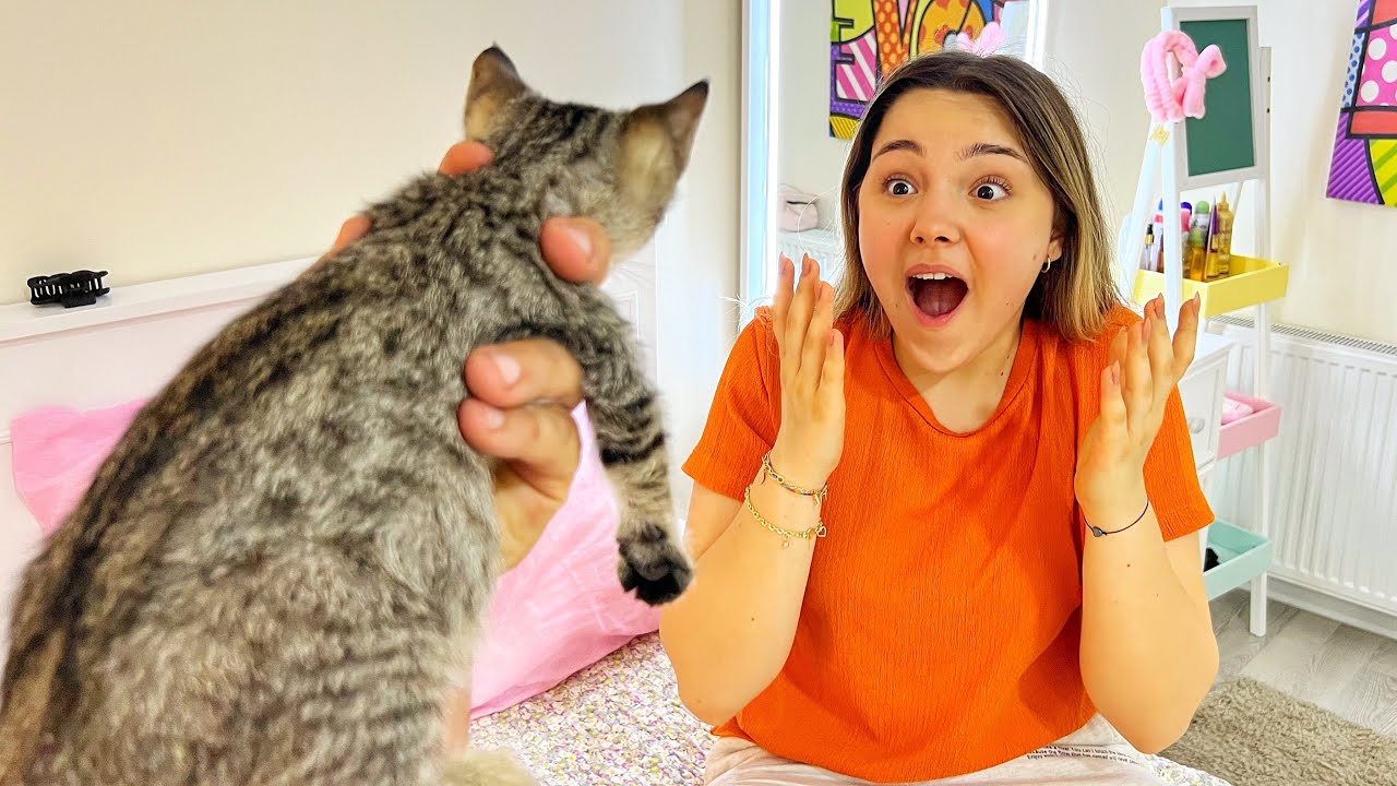 MELİKE’YE SÜRPRİZ KARNE HEDİYESİ! KEDİ SAHİPLENDİK İSİM ARIYORUZ