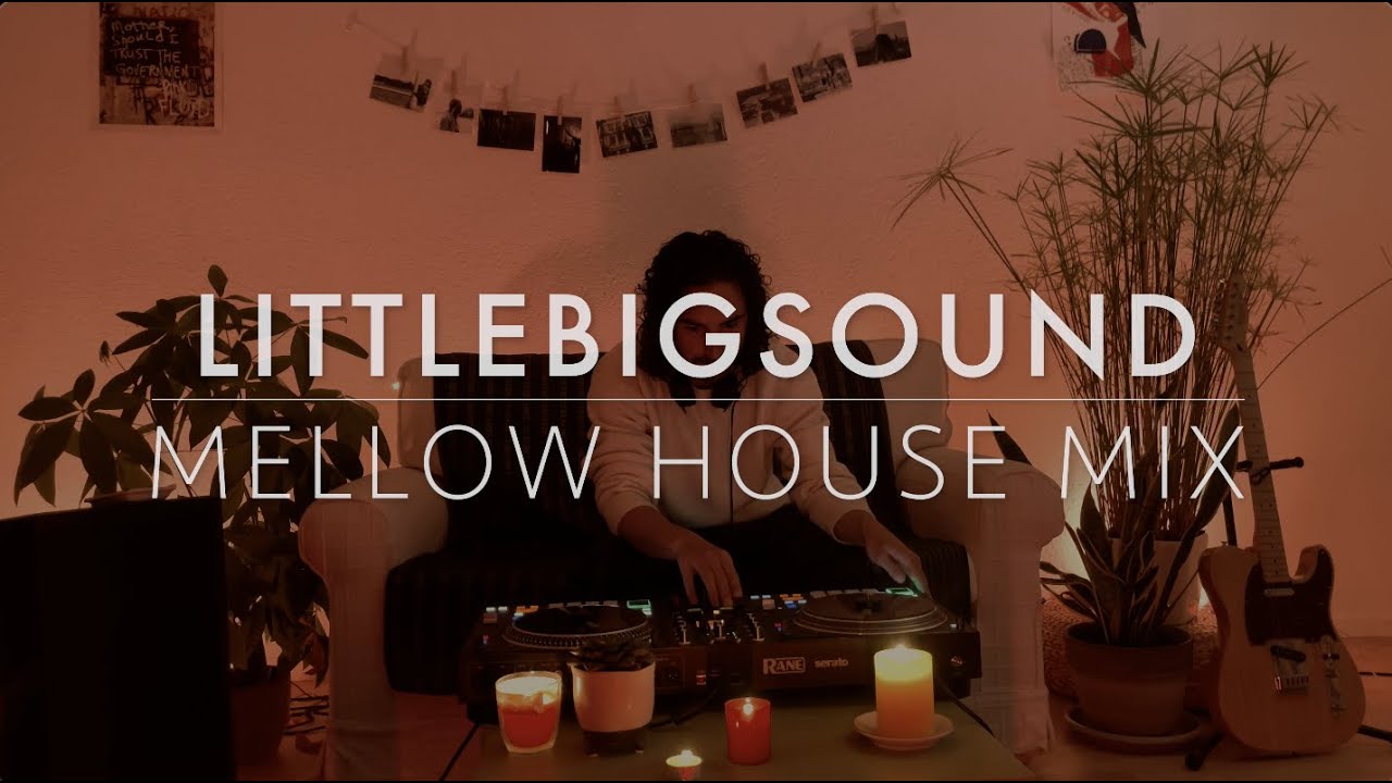 Mellow House DJ Set  I  AL:RA Live Mix