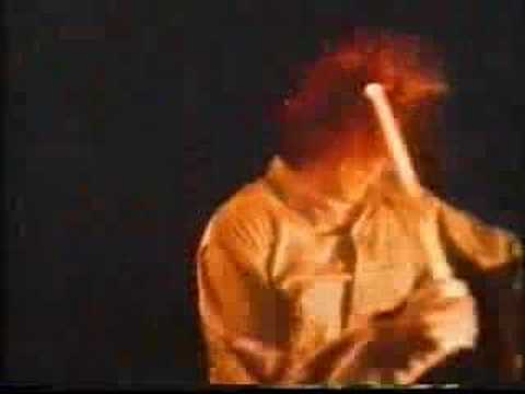 Melvins - Hooch