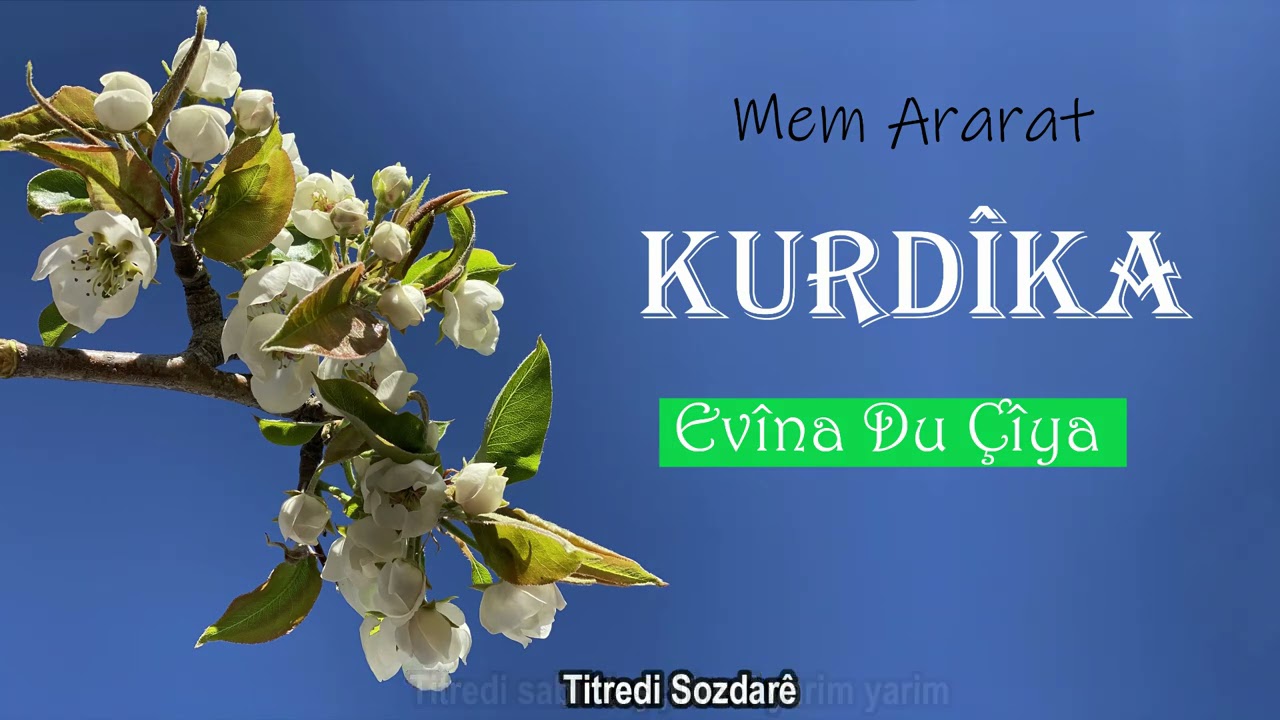 Mem ARARAT - Evîna Du Çiya (Türkçe Çeviri)