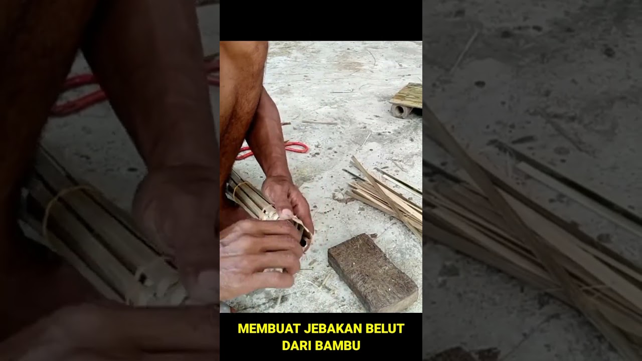 Membuat jebakan belut paling mudah