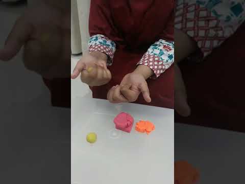 Membuat patung berbentuk hewan dari plastision