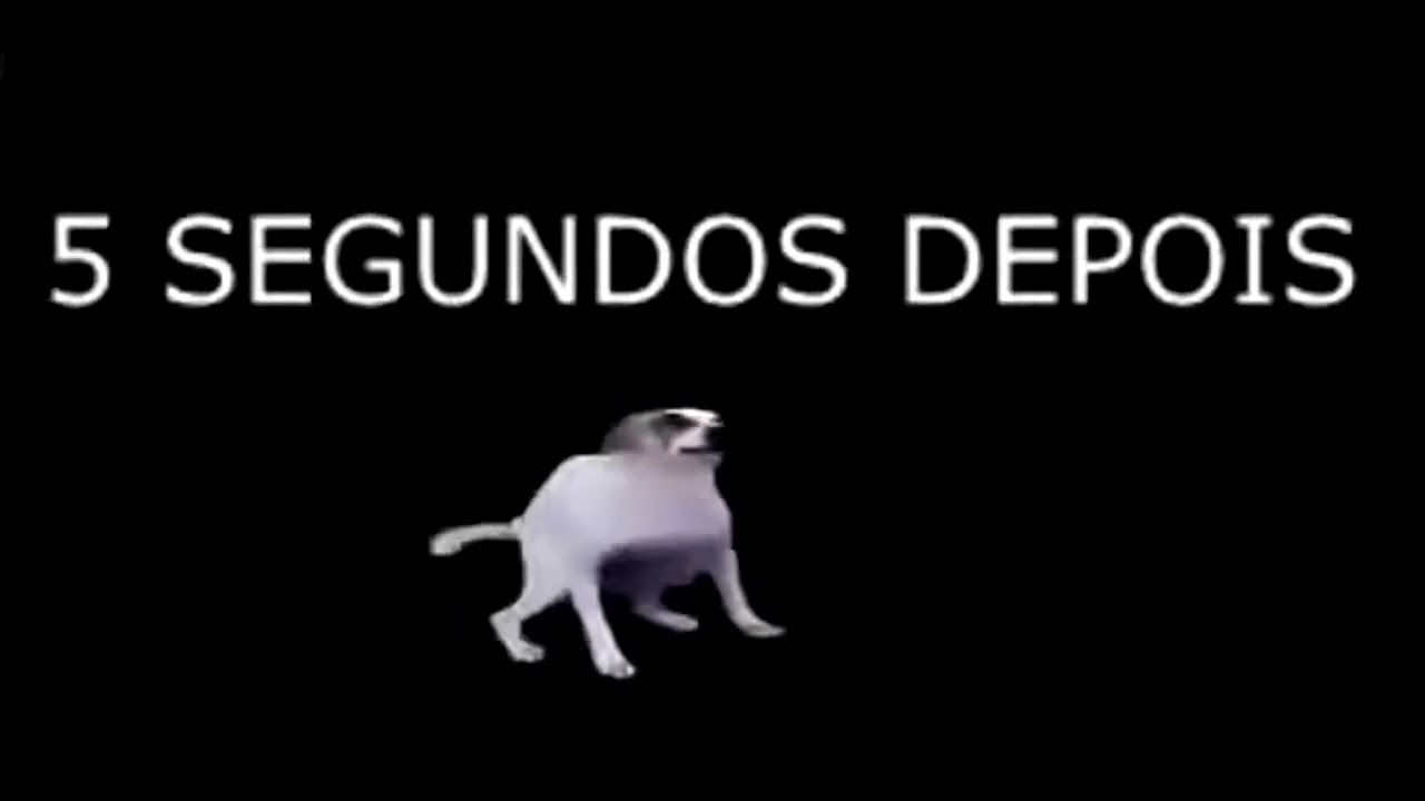 Meme 5 segundos dps