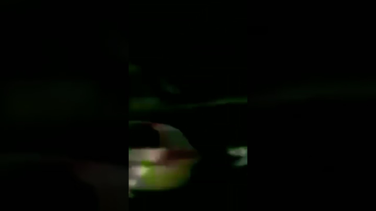 meme da puppet dançando