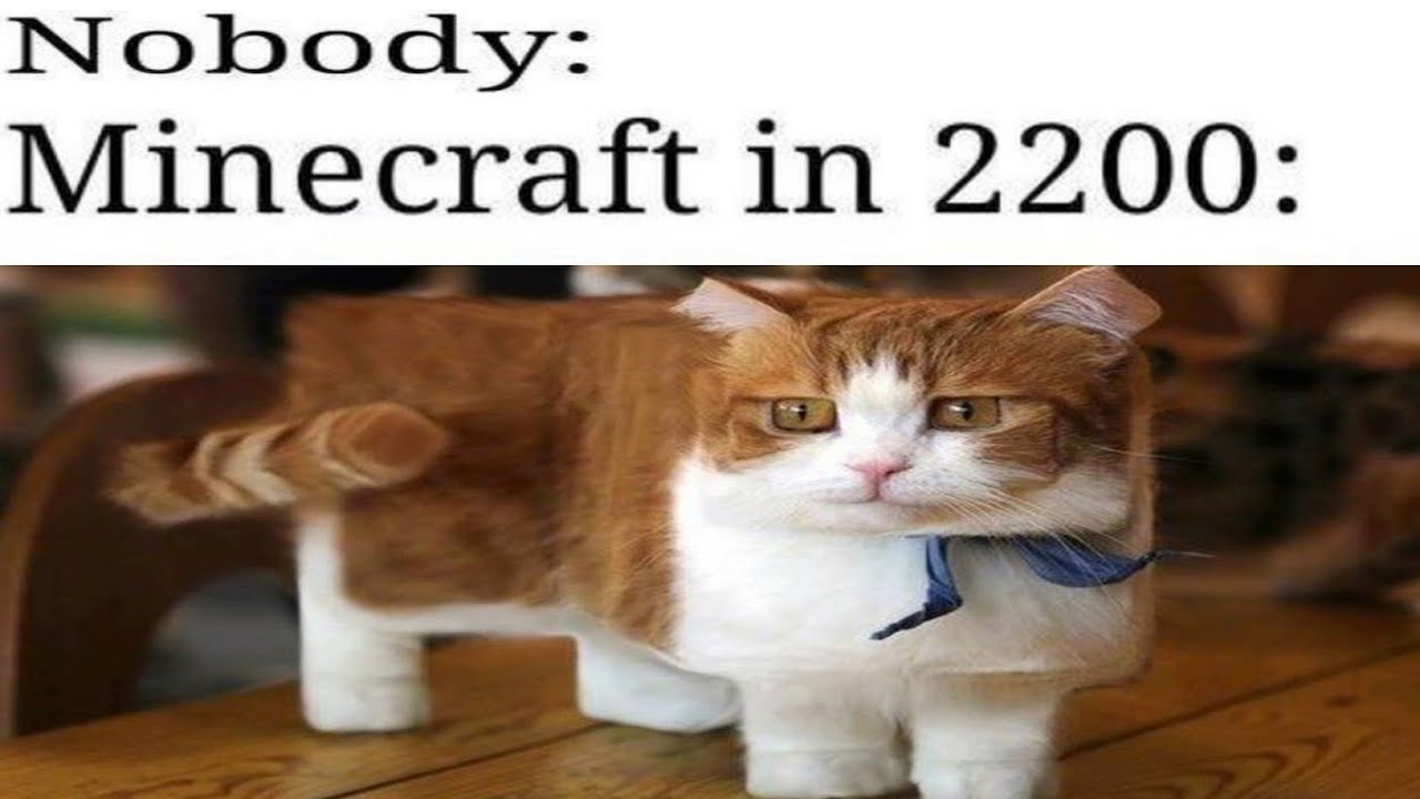 Memes 25 | TRY NOT TO LAUGH | Memesso | Memes | Memenade | Memes 2021 | text2meme | Clumsy |