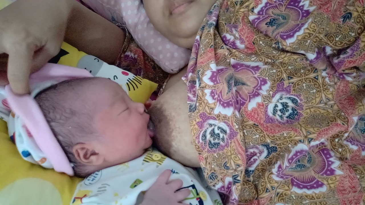 menyusu sang ibu adalah aktifitas bayi yang wajib 😘agar ia sehat dan berkembang cepat(1)