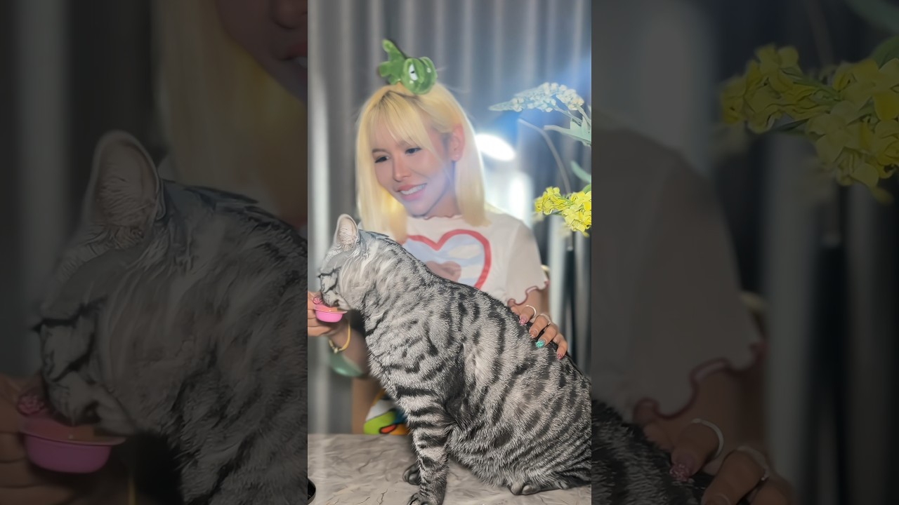 Meow 😻 #asmr #whitespaasmr