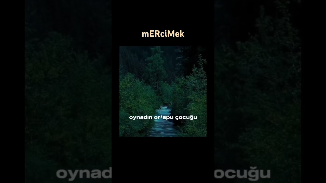 mercimek diyen dayı (küfür vardır)