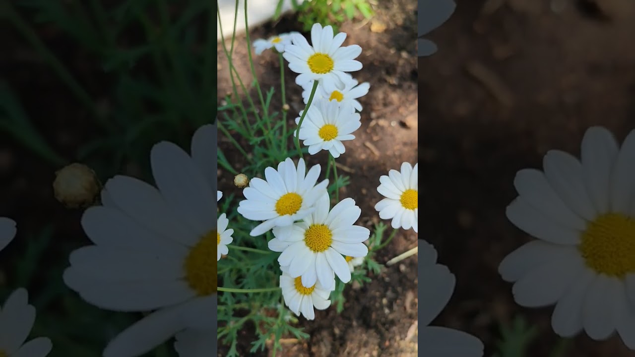Merhaba #zikir #dinivideolar #keşfet #ilahirahmet #keşfetteyiz #görüntüleme #videolike #allah