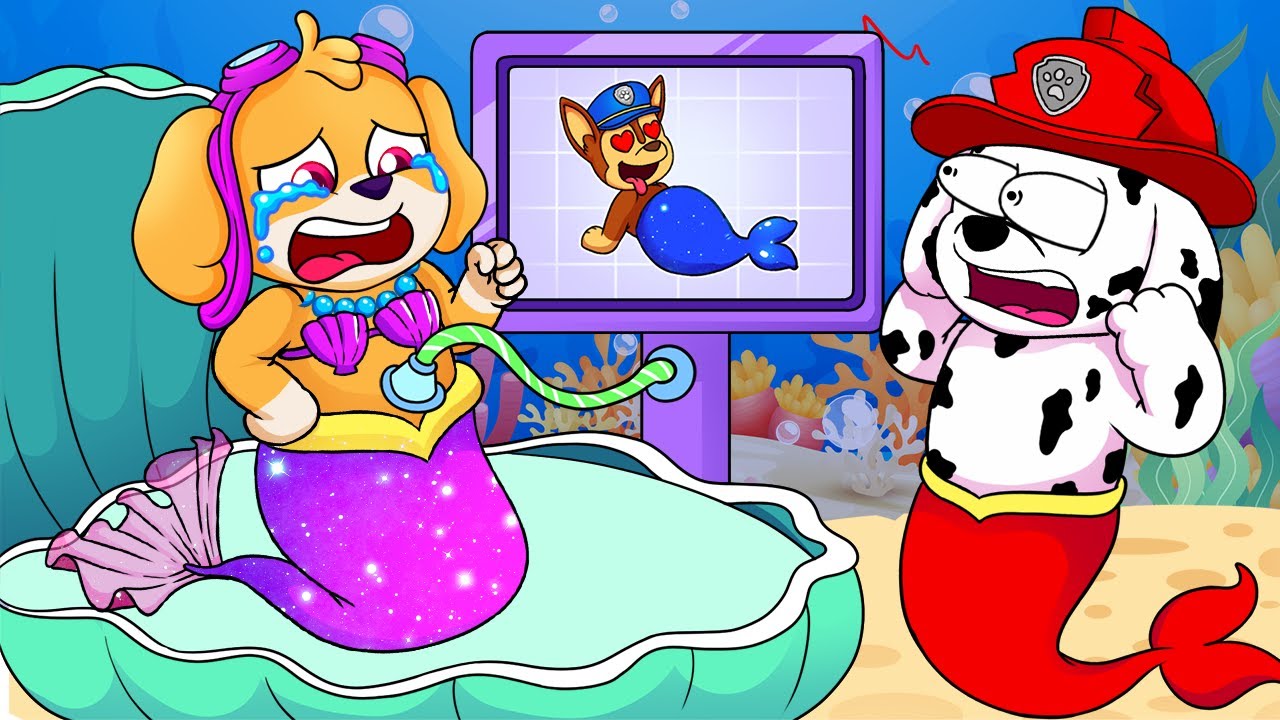 Mermaid Skye Is Stomach-ache?? But not Is that Baby! | PAW Patrol Funny Animation | Rainbow 3