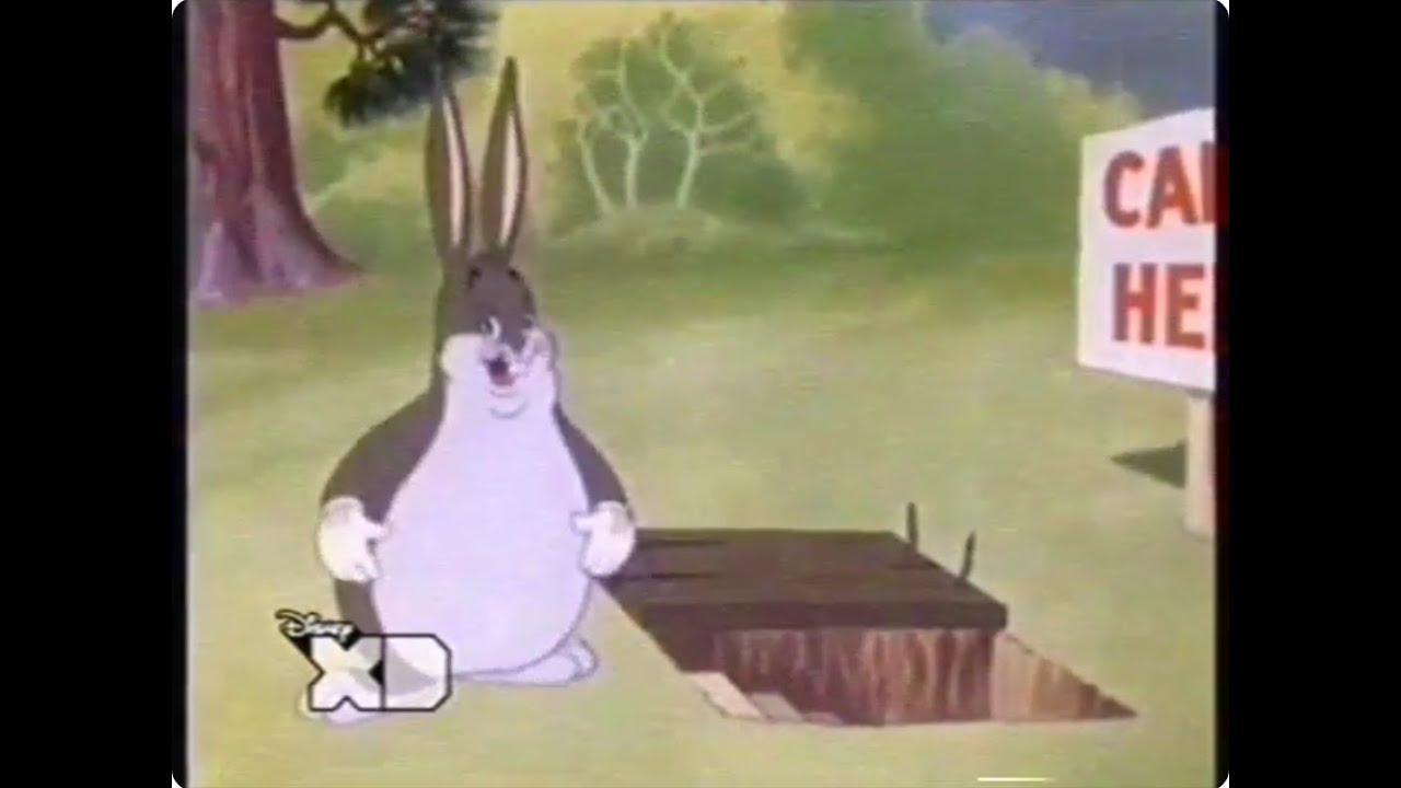 Merrie Melodies on Disney XD, January 2010 (Totally Real and Rare)
