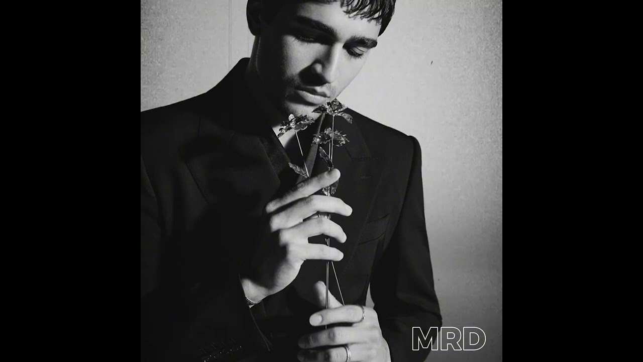 Mert Ramazan Demir  Hayat Gibi Ai Cover